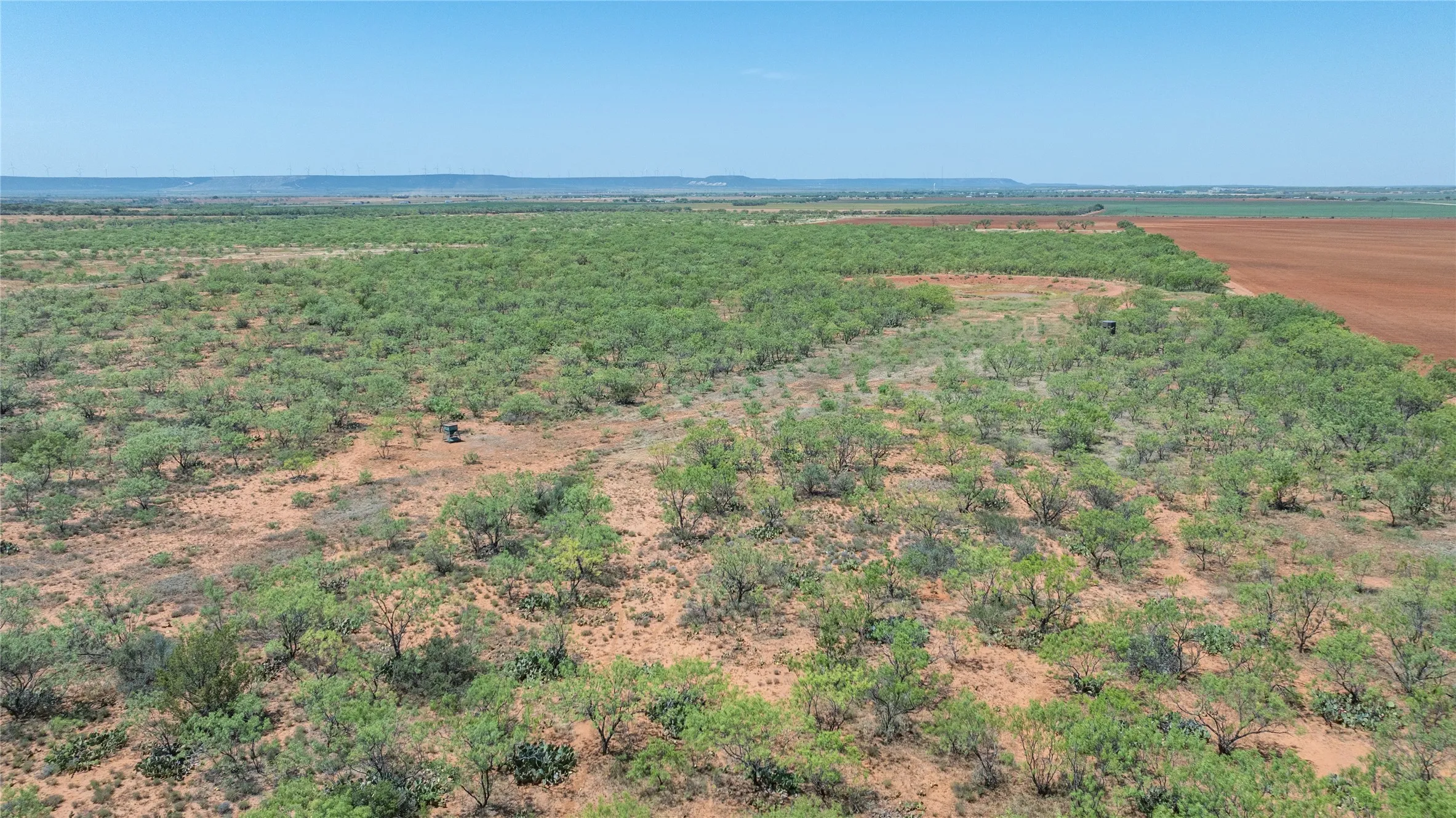 Ranch For Sale in Taylor County , 777 Noodle Dome, Trent, Texas 79561, 0, 0, Garage spaces, 0 Sqft, built in 0, mls#21355347, Real Estate Agent in Trent, Homes For Sale in Taylor county, Homes For Sale in Trent, Realtor in Trent Texas, Real Estate Brokerage Independent Realty Texas, Luminita Cordes Realtor