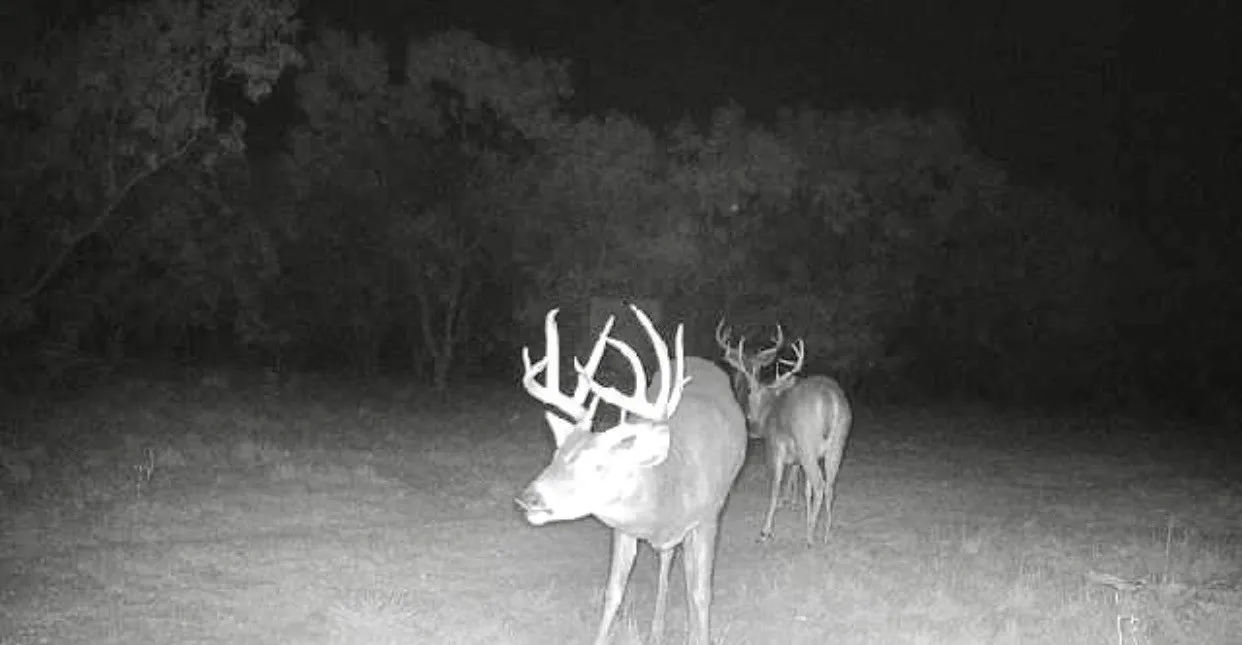 Ranch For Sale in Taylor County , 777 Noodle Dome, Trent, Texas 79561, 0, 0, Garage spaces, 0 Sqft, built in 0, mls#21355347, Real Estate Agent in Trent, Homes For Sale in Taylor county, Homes For Sale in Trent, Realtor in Trent Texas, Real Estate Brokerage Independent Realty Texas, Luminita Cordes Realtor