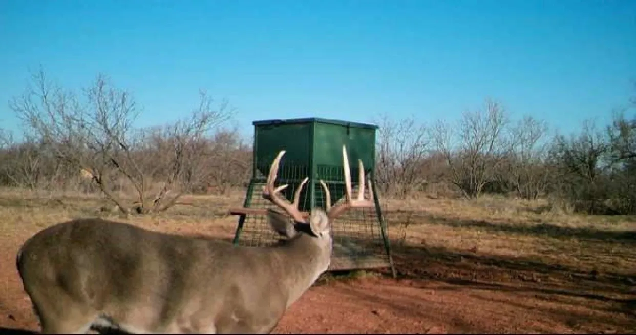 Ranch For Sale in Taylor County , 777 Noodle Dome, Trent, Texas 79561, 0, 0, Garage spaces, 0 Sqft, built in 0, mls#21355347, Real Estate Agent in Trent, Homes For Sale in Taylor county, Homes For Sale in Trent, Realtor in Trent Texas, Real Estate Brokerage Independent Realty Texas, Luminita Cordes Realtor