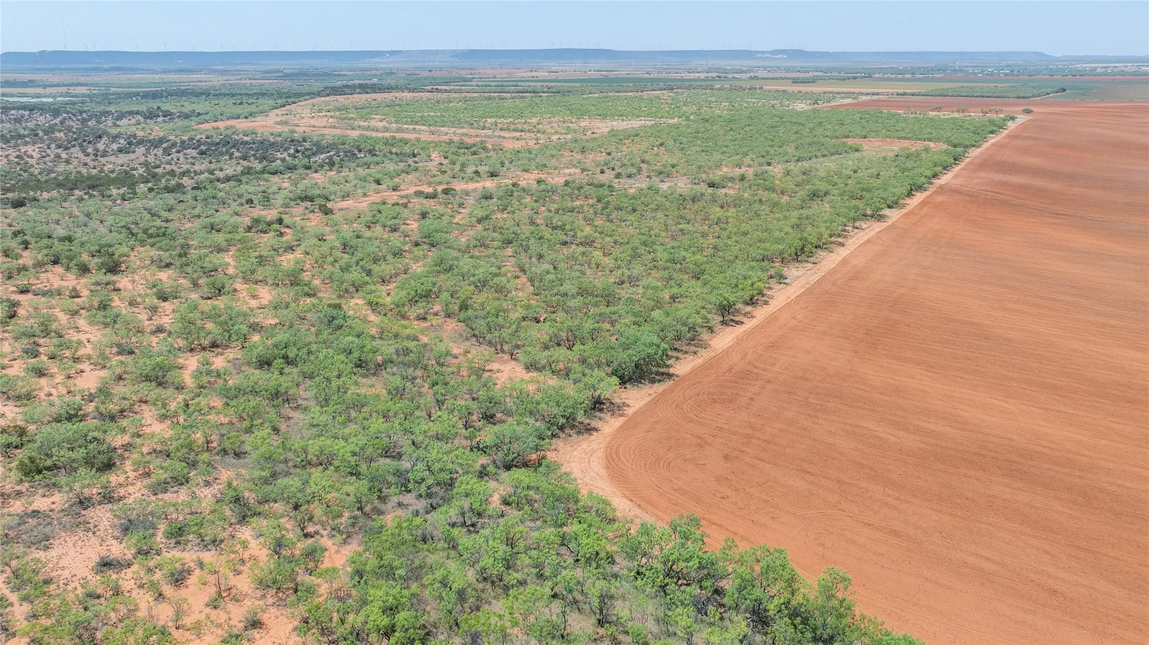 Ranch For Sale in Taylor County , 777 Noodle Dome, Trent, Texas 79561, 0, 0, Garage spaces, 0 Sqft, built in 0, mls#21355347, Real Estate Agent in Trent, Homes For Sale in Taylor county, Homes For Sale in Trent, Realtor in Trent Texas, Real Estate Brokerage Independent Realty Texas, Luminita Cordes Realtor