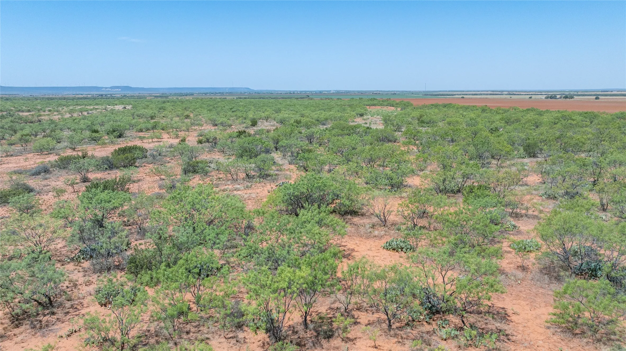 Ranch For Sale in Taylor County , 777 Noodle Dome, Trent, Texas 79561, 0, 0, Garage spaces, 0 Sqft, built in 0, mls#21355347, Real Estate Agent in Trent, Homes For Sale in Taylor county, Homes For Sale in Trent, Realtor in Trent Texas, Real Estate Brokerage Independent Realty Texas, Luminita Cordes Realtor
