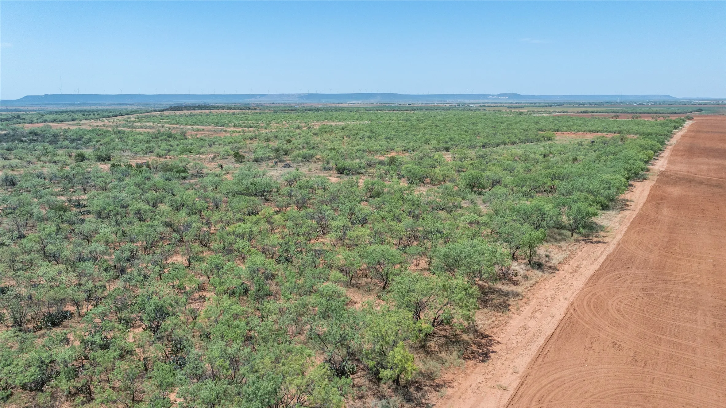 Ranch For Sale in Taylor County , 777 Noodle Dome, Trent, Texas 79561, 0, 0, Garage spaces, 0 Sqft, built in 0, mls#21355347, Real Estate Agent in Trent, Homes For Sale in Taylor county, Homes For Sale in Trent, Realtor in Trent Texas, Real Estate Brokerage Independent Realty Texas, Luminita Cordes Realtor