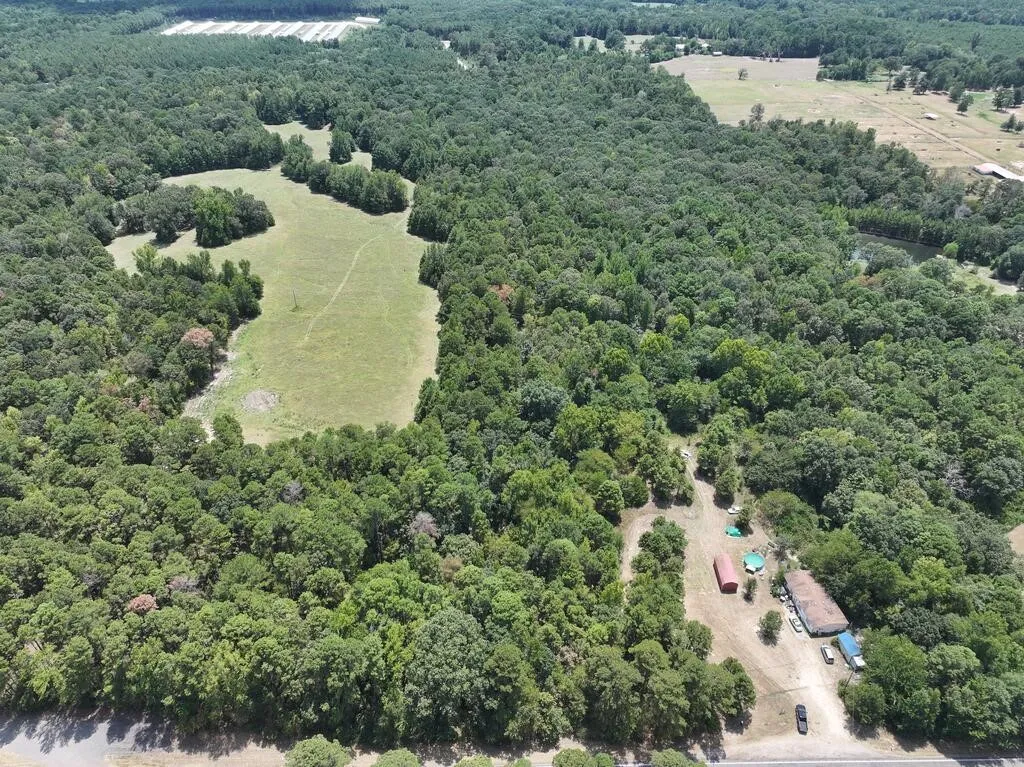 Unimproved Land For Sale in Upshur County , 0 State Highway 154 W, Big Sandy, Texas 75755, 0, 0, Garage spaces, 0 Sqft, built in 0, Price $130,000, mls#21359980, Real Estate Agent in Big Sandy, Homes For Sale in Upshur county, Homes For Sale in Big Sandy, Realtor in Big Sandy Texas, Real Estate Brokerage Independent Realty Texas, Luminita Cordes Realtor