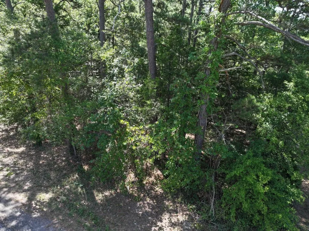 Unimproved Land For Sale in Upshur County , 0 State Highway 154 W, Big Sandy, Texas 75755, 0, 0, Garage spaces, 0 Sqft, built in 0, Price $130,000, mls#21359980, Real Estate Agent in Big Sandy, Homes For Sale in Upshur county, Homes For Sale in Big Sandy, Realtor in Big Sandy Texas, Real Estate Brokerage Independent Realty Texas, Luminita Cordes Realtor