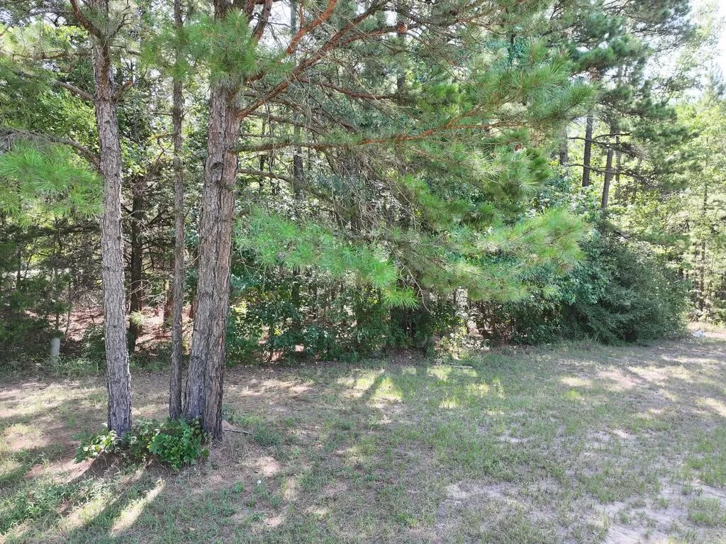 Unimproved Land For Sale in Upshur County , 0 State Highway 154 W, Big Sandy, Texas 75755, 0, 0, Garage spaces, 0 Sqft, built in 0, Price $130,000, mls#21359980, Real Estate Agent in Big Sandy, Homes For Sale in Upshur county, Homes For Sale in Big Sandy, Realtor in Big Sandy Texas, Real Estate Brokerage Independent Realty Texas, Luminita Cordes Realtor