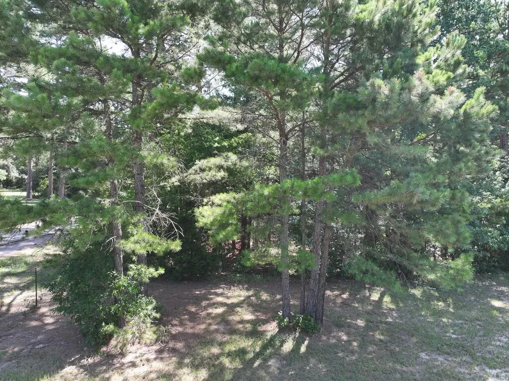 Unimproved Land For Sale in Upshur County , 0 State Highway 154 W, Big Sandy, Texas 75755, 0, 0, Garage spaces, 0 Sqft, built in 0, Price $130,000, mls#21359980, Real Estate Agent in Big Sandy, Homes For Sale in Upshur county, Homes For Sale in Big Sandy, Realtor in Big Sandy Texas, Real Estate Brokerage Independent Realty Texas, Luminita Cordes Realtor
