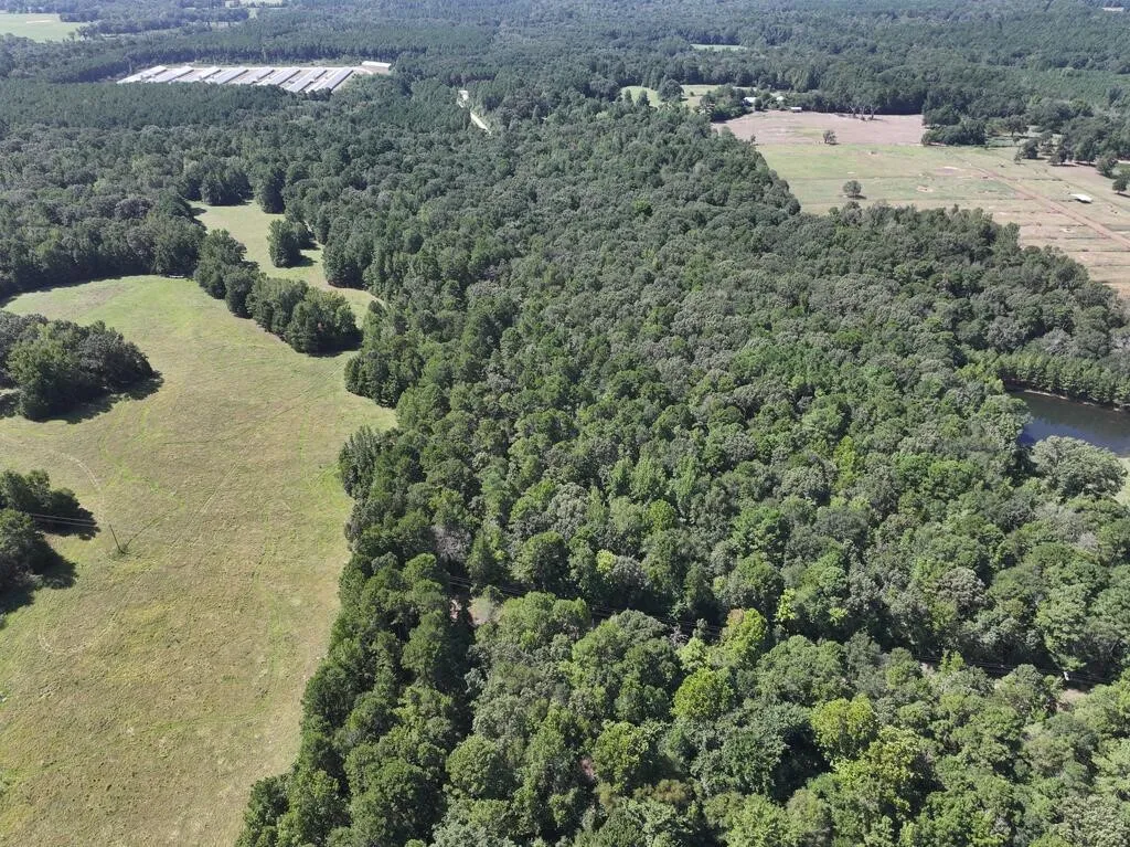 Unimproved Land For Sale in Upshur County , 0 State Highway 154 W, Big Sandy, Texas 75755, 0, 0, Garage spaces, 0 Sqft, built in 0, Price $130,000, mls#21359980, Real Estate Agent in Big Sandy, Homes For Sale in Upshur county, Homes For Sale in Big Sandy, Realtor in Big Sandy Texas, Real Estate Brokerage Independent Realty Texas, Luminita Cordes Realtor