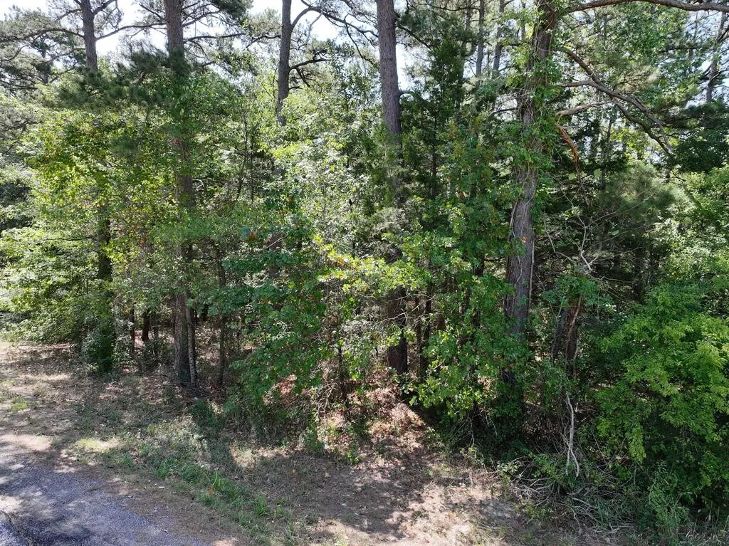 Unimproved Land For Sale in Upshur County , 0 State Highway 154 W, Big Sandy, Texas 75755, 0, 0, Garage spaces, 0 Sqft, built in 0, Price $130,000, mls#21359980, Real Estate Agent in Big Sandy, Homes For Sale in Upshur county, Homes For Sale in Big Sandy, Realtor in Big Sandy Texas, Real Estate Brokerage Independent Realty Texas, Luminita Cordes Realtor