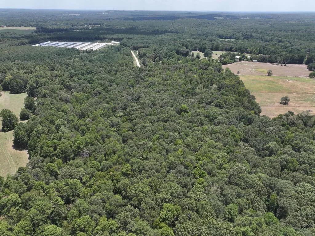 Unimproved Land For Sale in Upshur County , 0 State Highway 154 W, Big Sandy, Texas 75755, 0, 0, Garage spaces, 0 Sqft, built in 0, Price $130,000, mls#21359980, Real Estate Agent in Big Sandy, Homes For Sale in Upshur county, Homes For Sale in Big Sandy, Realtor in Big Sandy Texas, Real Estate Brokerage Independent Realty Texas, Luminita Cordes Realtor