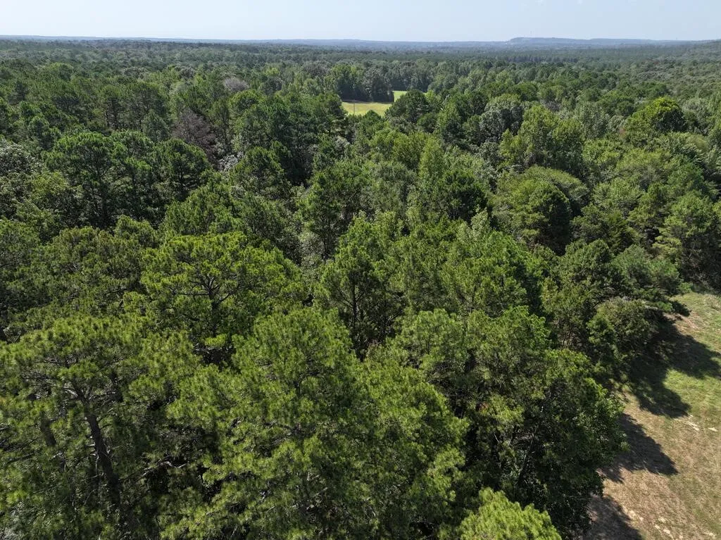 Unimproved Land For Sale in Upshur County , 0 State Highway 154 W, Big Sandy, Texas 75755, 0, 0, Garage spaces, 0 Sqft, built in 0, Price $130,000, mls#21359980, Real Estate Agent in Big Sandy, Homes For Sale in Upshur county, Homes For Sale in Big Sandy, Realtor in Big Sandy Texas, Real Estate Brokerage Independent Realty Texas, Luminita Cordes Realtor