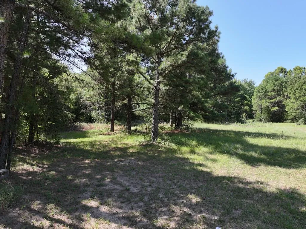 Unimproved Land For Sale in Upshur County , 0 State Highway 154 W, Big Sandy, Texas 75755, 0, 0, Garage spaces, 0 Sqft, built in 0, Price $130,000, mls#21359980, Real Estate Agent in Big Sandy, Homes For Sale in Upshur county, Homes For Sale in Big Sandy, Realtor in Big Sandy Texas, Real Estate Brokerage Independent Realty Texas, Luminita Cordes Realtor