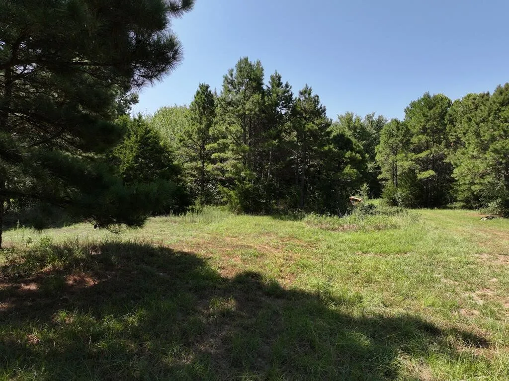 Unimproved Land For Sale in Upshur County , 0 State Highway 154 W, Big Sandy, Texas 75755, 0, 0, Garage spaces, 0 Sqft, built in 0, Price $130,000, mls#21359980, Real Estate Agent in Big Sandy, Homes For Sale in Upshur county, Homes For Sale in Big Sandy, Realtor in Big Sandy Texas, Real Estate Brokerage Independent Realty Texas, Luminita Cordes Realtor