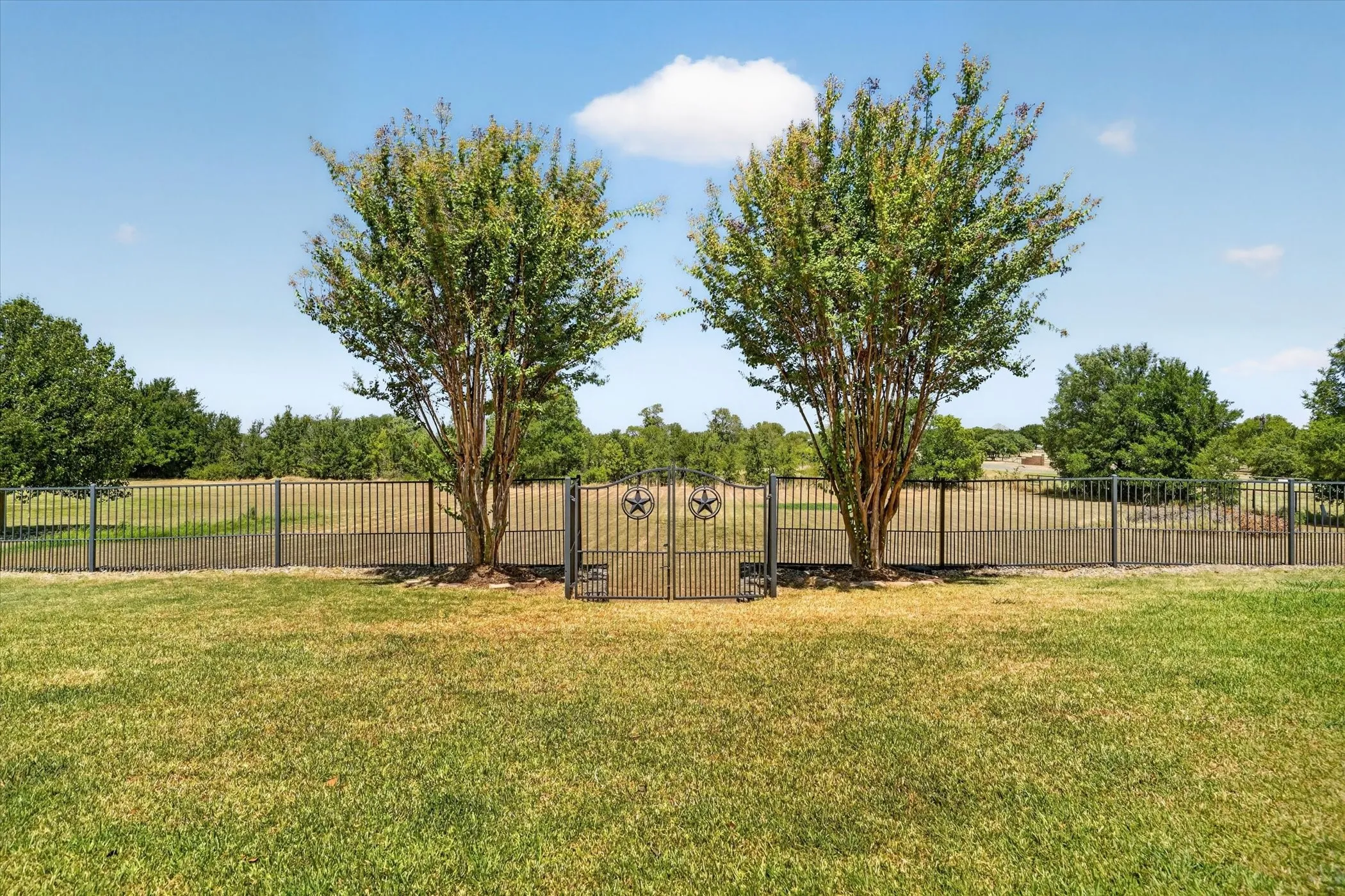 Manicured lawn with a wrought iron fence featuring a decorative gate and two mature trees