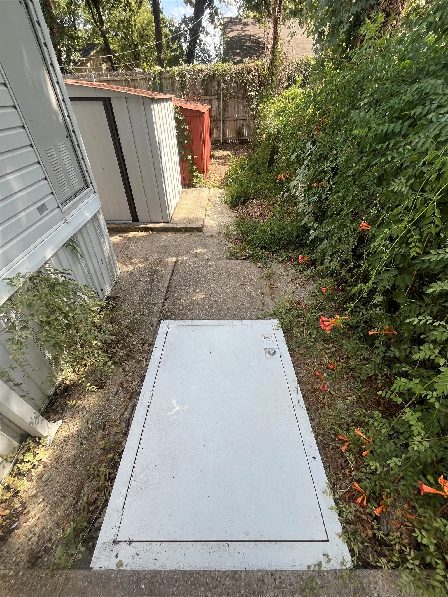 Storm Cellar