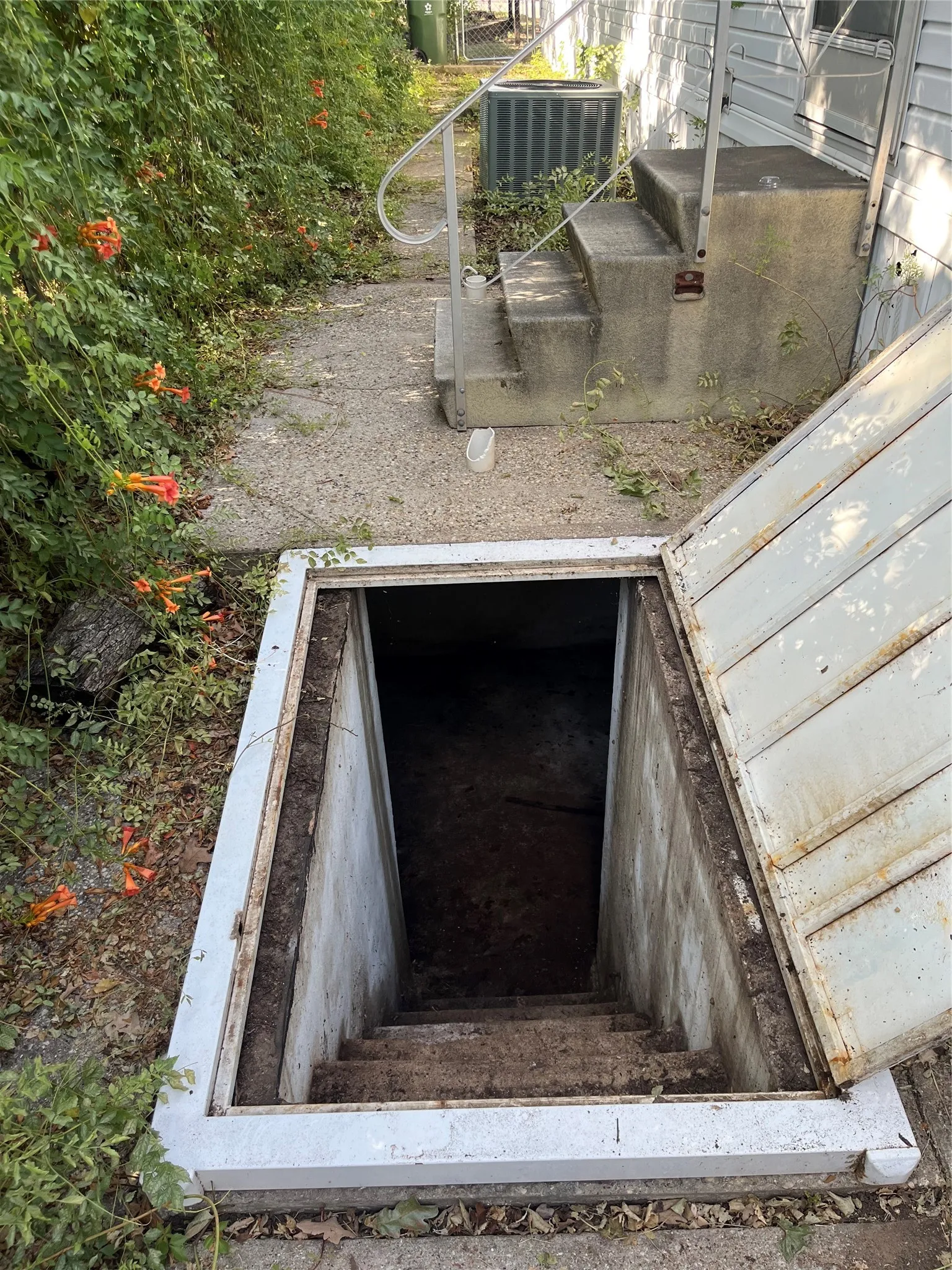 Storm Cellar with solid concrete steps.
