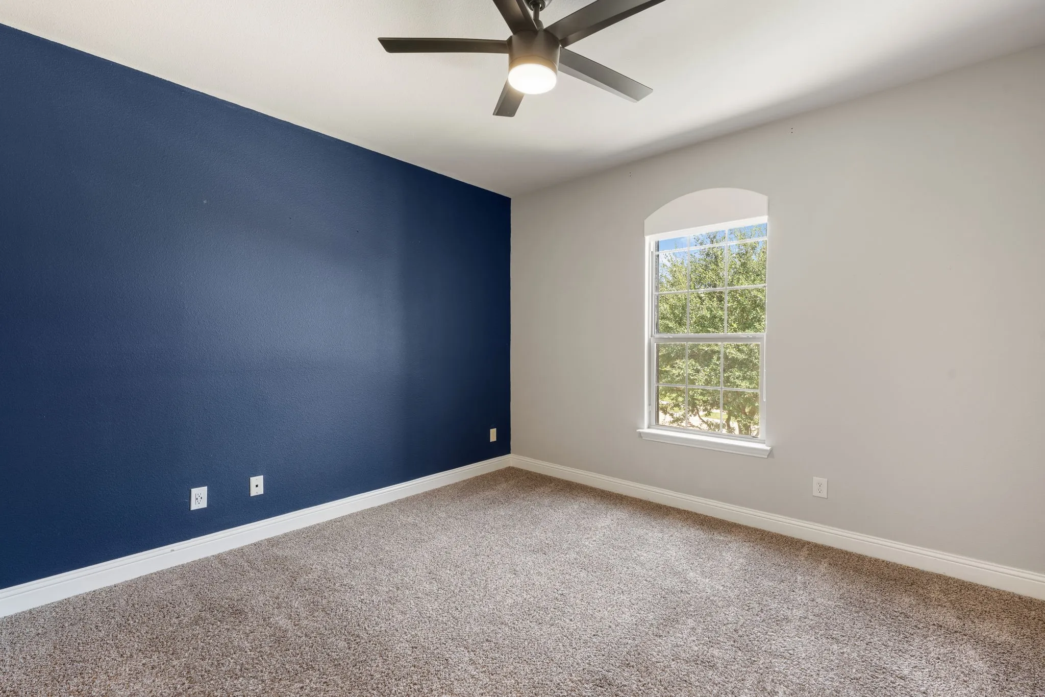 Neutral wall paint, accent wall, arched window, ceiling fan, and carpeted flooring