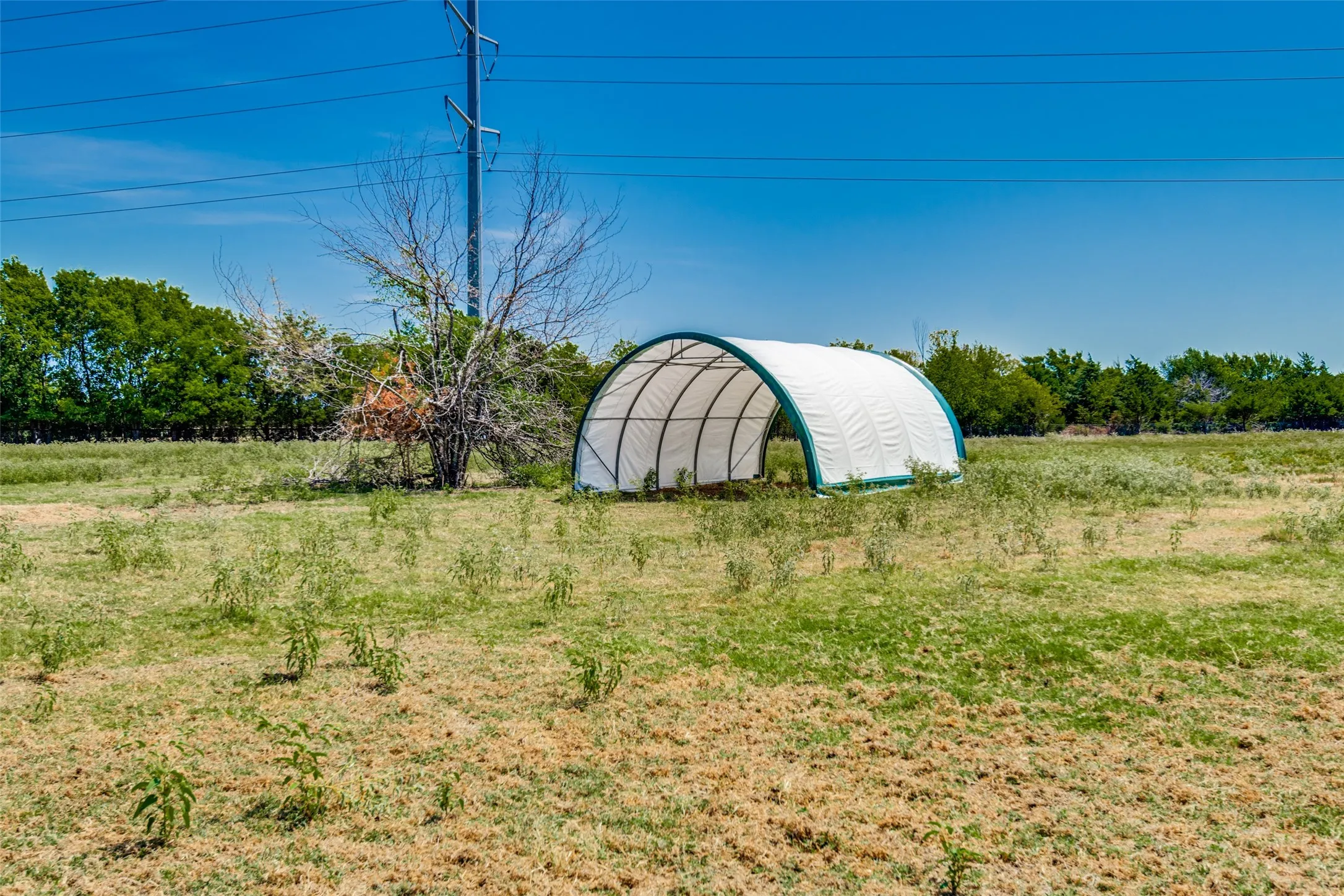Improved Land For Sale in Kaufman County , TBD County Road 247, Terrell, Texas 75160, 0, 0, Garage spaces, 0 Sqft, built in 0, Price $350,000, mls#21353994, Real Estate Agent in Terrell, Homes For Sale in Kaufman county, Homes For Sale in Terrell, Realtor in Terrell Texas, Real Estate Brokerage Independent Realty Texas, Luminita Cordes Realtor