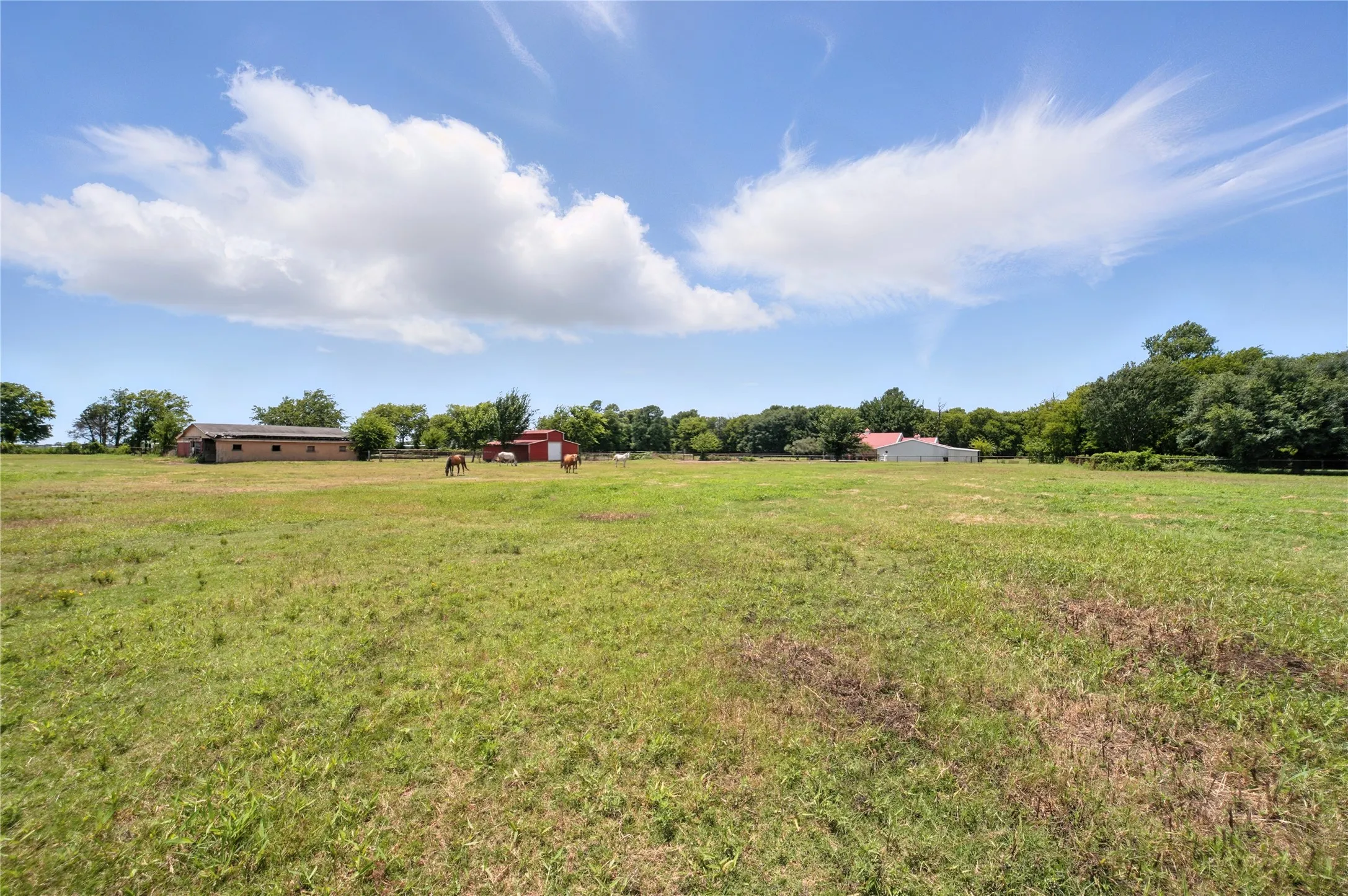 Improved Land For Sale in Kaufman County , TBD County Road 247, Terrell, Texas 75160, 0, 0, Garage spaces, 0 Sqft, built in 0, Price $350,000, mls#21353994, Real Estate Agent in Terrell, Homes For Sale in Kaufman county, Homes For Sale in Terrell, Realtor in Terrell Texas, Real Estate Brokerage Independent Realty Texas, Luminita Cordes Realtor