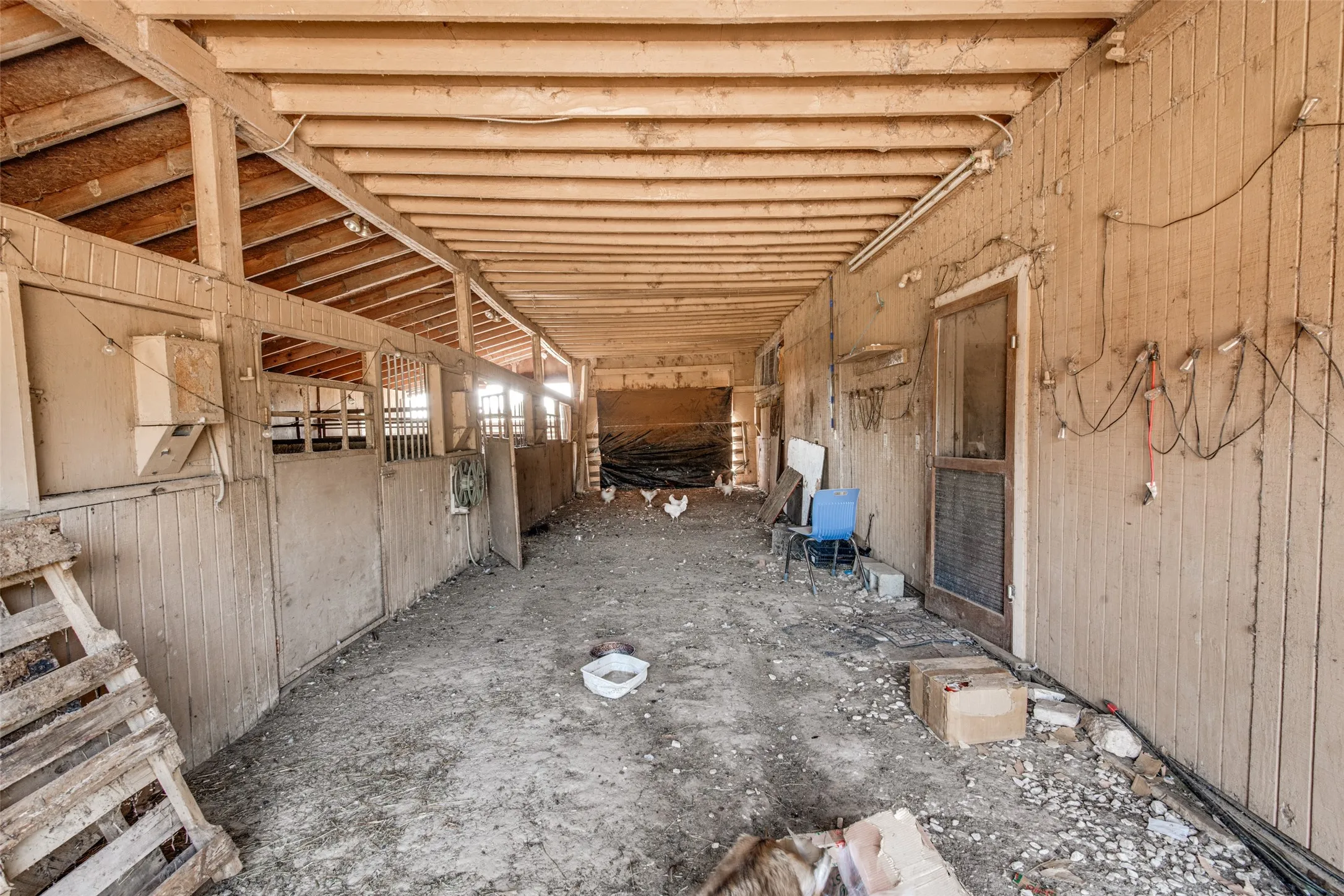 Improved Land For Sale in Kaufman County , TBD County Road 247, Terrell, Texas 75160, 0, 0, Garage spaces, 0 Sqft, built in 0, Price $350,000, mls#21353994, Real Estate Agent in Terrell, Homes For Sale in Kaufman county, Homes For Sale in Terrell, Realtor in Terrell Texas, Real Estate Brokerage Independent Realty Texas, Luminita Cordes Realtor