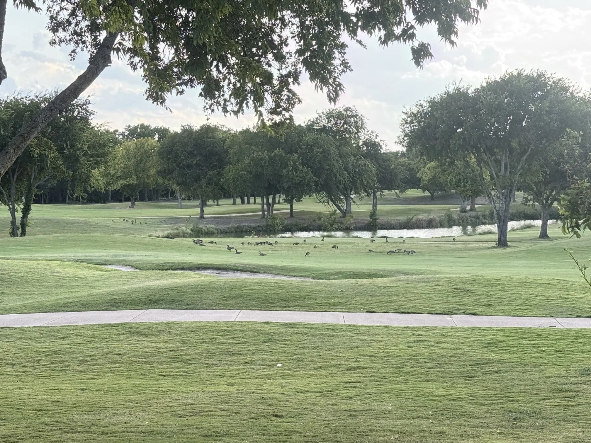 View of golf course lake