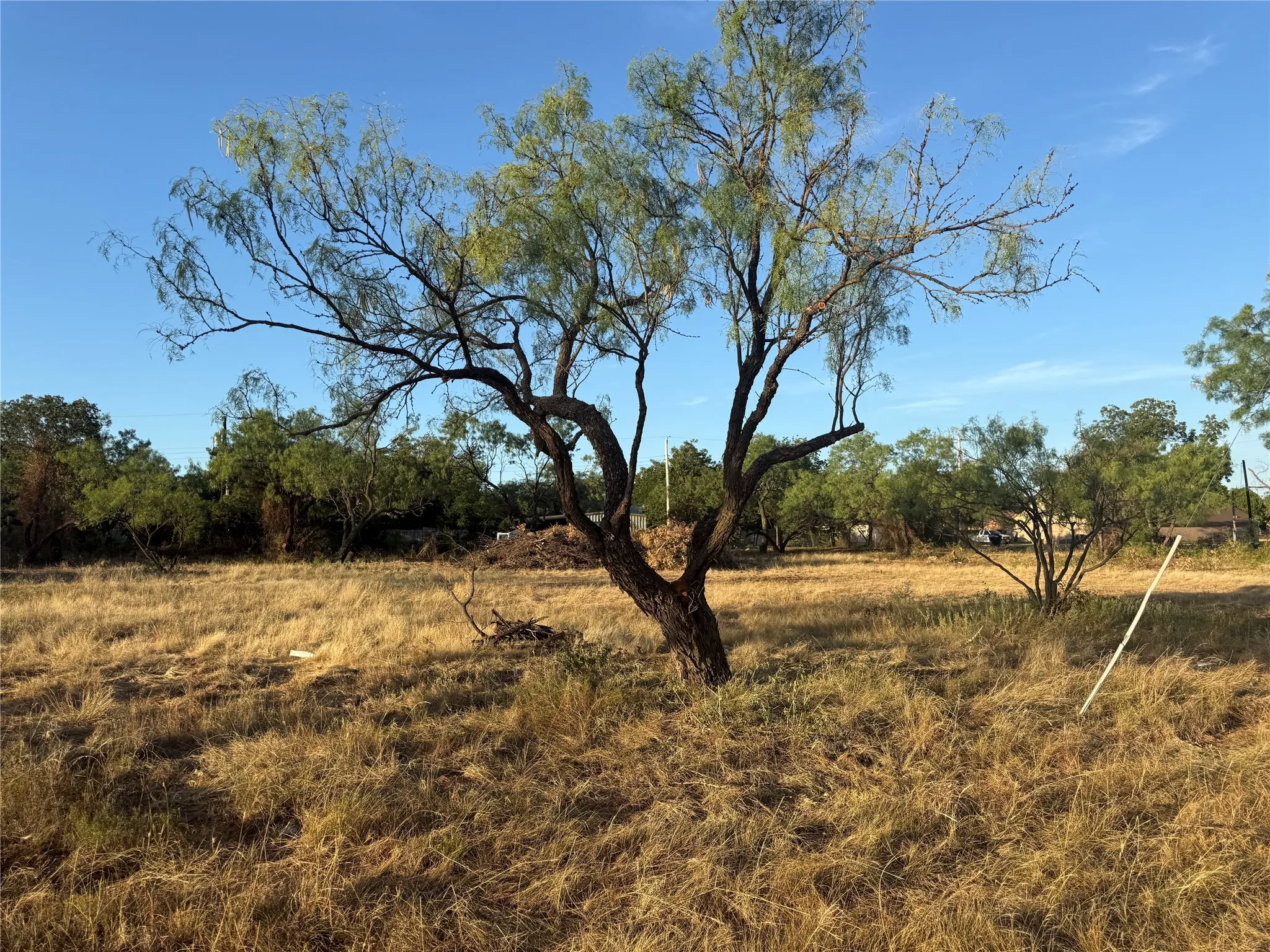 Unimproved Land For Sale in Taylor County , 1900 W Stamford Street, Abilene, Texas 79603, 0, 0, Garage spaces, 0 Sqft, built in 1900, mls#21359000, Real Estate Agent in Abilene, Homes For Sale in Taylor county, Homes For Sale in Abilene, Realtor in Abilene Texas, Real Estate Brokerage Independent Realty Texas, Luminita Cordes Realtor