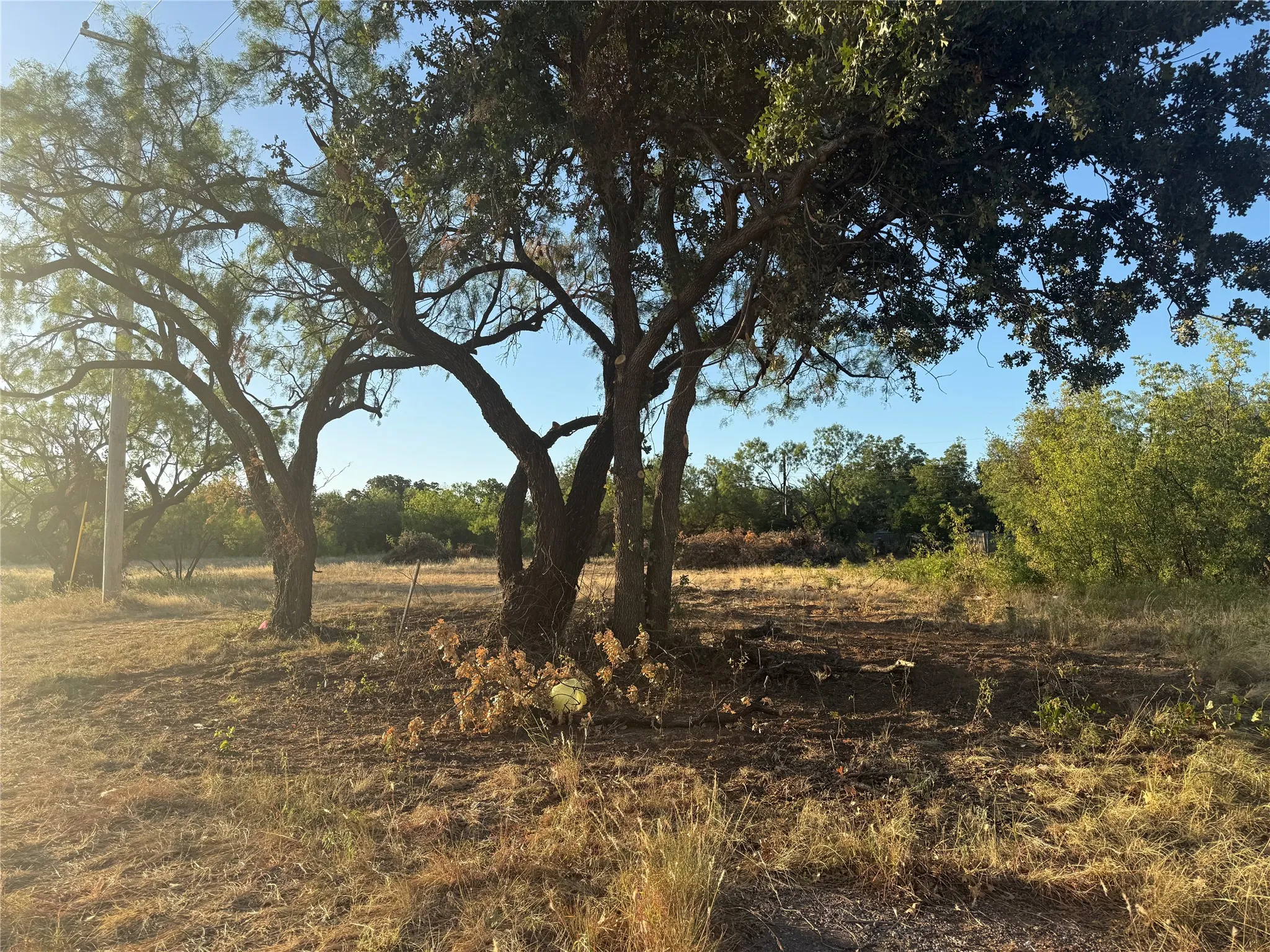Unimproved Land For Sale in Taylor County , 1900 W Stamford Street, Abilene, Texas 79603, 0, 0, Garage spaces, 0 Sqft, built in 1900, mls#21359000, Real Estate Agent in Abilene, Homes For Sale in Taylor county, Homes For Sale in Abilene, Realtor in Abilene Texas, Real Estate Brokerage Independent Realty Texas, Luminita Cordes Realtor