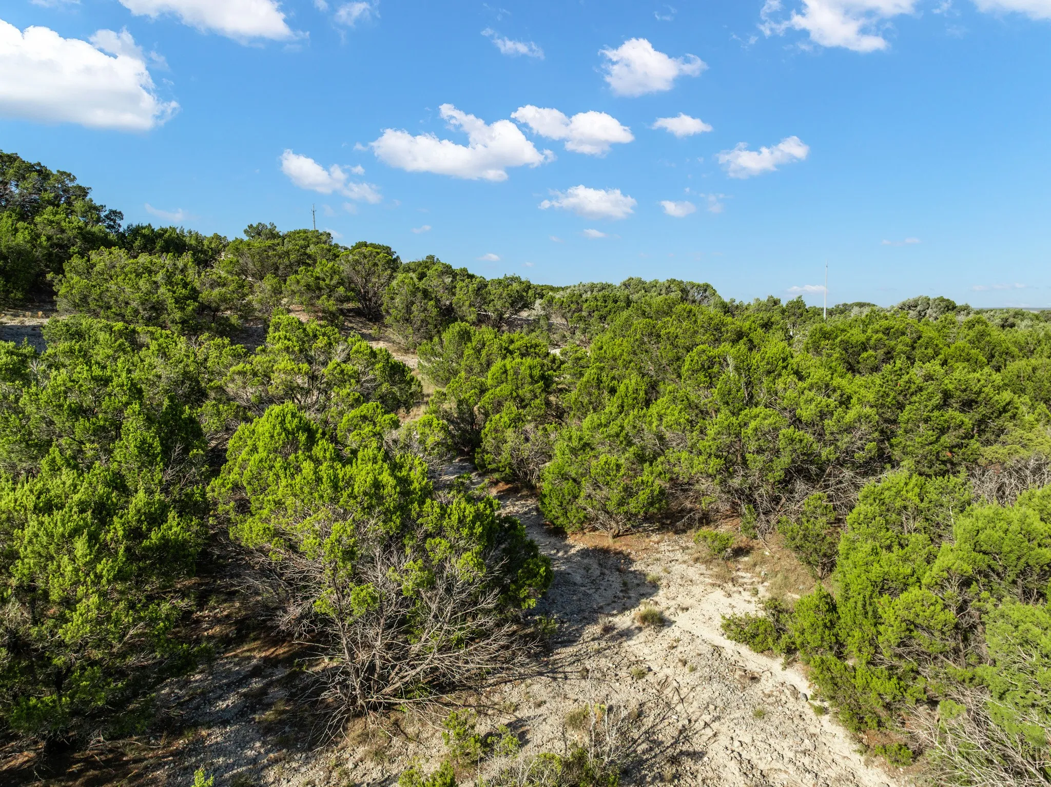 Unimproved Land For Sale in Bosque County , TBD CR 1213, Kopperl, Texas 76652, 0, 0, Garage spaces, 0 Sqft, built in 0, mls#21358985, Real Estate Agent in Kopperl, Homes For Sale in Bosque county, Homes For Sale in Kopperl, Realtor in Kopperl Texas, Real Estate Brokerage Independent Realty Texas, Luminita Cordes Realtor