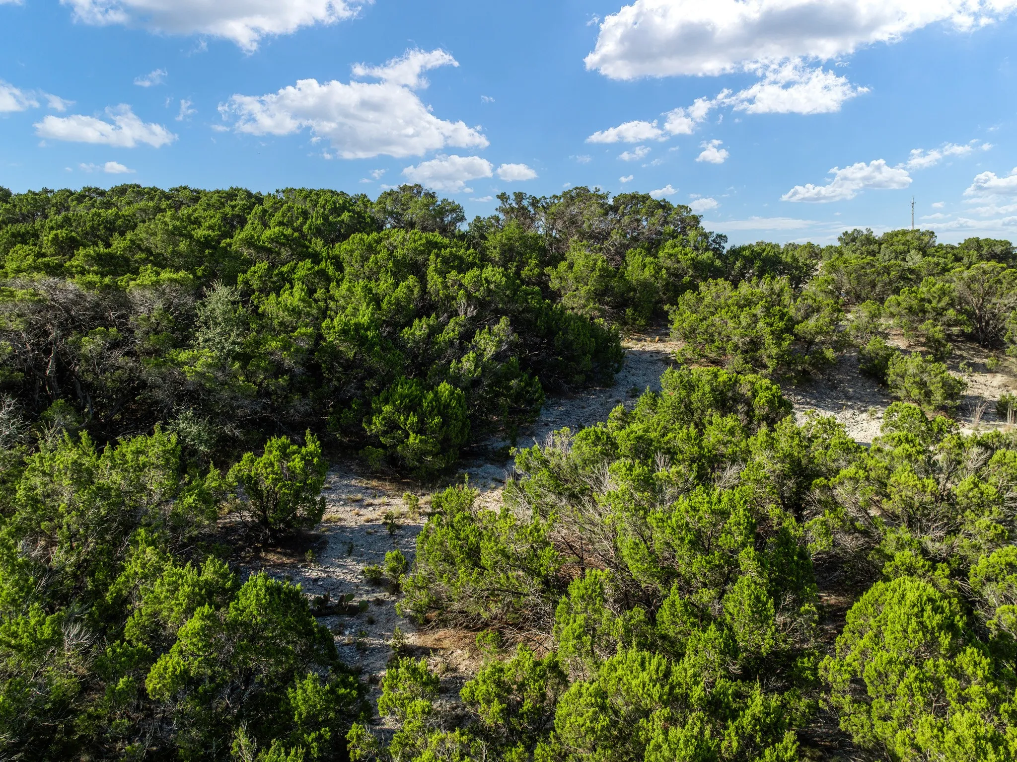 Unimproved Land For Sale in Bosque County , TBD CR 1213, Kopperl, Texas 76652, 0, 0, Garage spaces, 0 Sqft, built in 0, mls#21358985, Real Estate Agent in Kopperl, Homes For Sale in Bosque county, Homes For Sale in Kopperl, Realtor in Kopperl Texas, Real Estate Brokerage Independent Realty Texas, Luminita Cordes Realtor