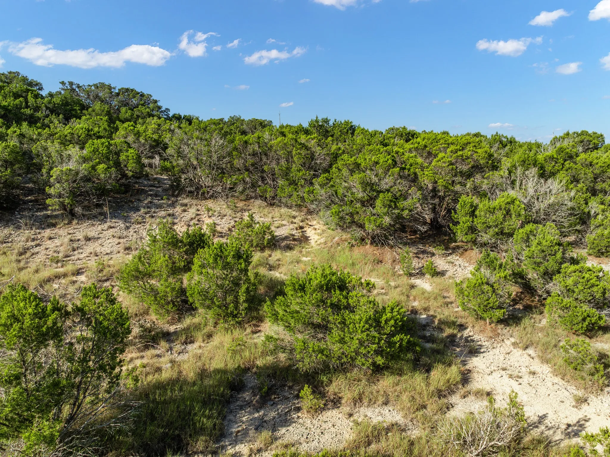 Unimproved Land For Sale in Bosque County , TBD CR 1213, Kopperl, Texas 76652, 0, 0, Garage spaces, 0 Sqft, built in 0, mls#21358985, Real Estate Agent in Kopperl, Homes For Sale in Bosque county, Homes For Sale in Kopperl, Realtor in Kopperl Texas, Real Estate Brokerage Independent Realty Texas, Luminita Cordes Realtor