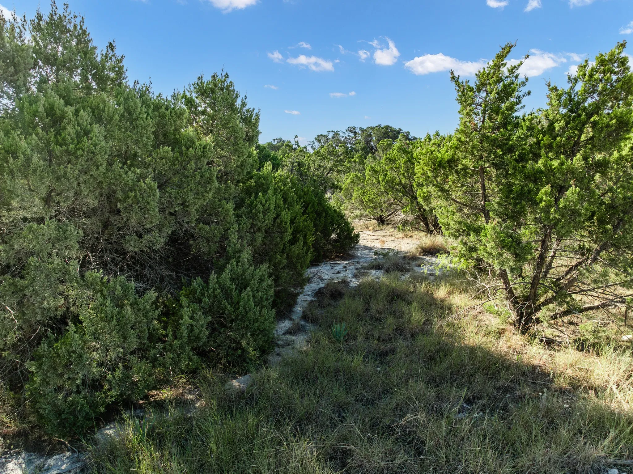 Unimproved Land For Sale in Bosque County , TBD CR 1213, Kopperl, Texas 76652, 0, 0, Garage spaces, 0 Sqft, built in 0, mls#21358985, Real Estate Agent in Kopperl, Homes For Sale in Bosque county, Homes For Sale in Kopperl, Realtor in Kopperl Texas, Real Estate Brokerage Independent Realty Texas, Luminita Cordes Realtor