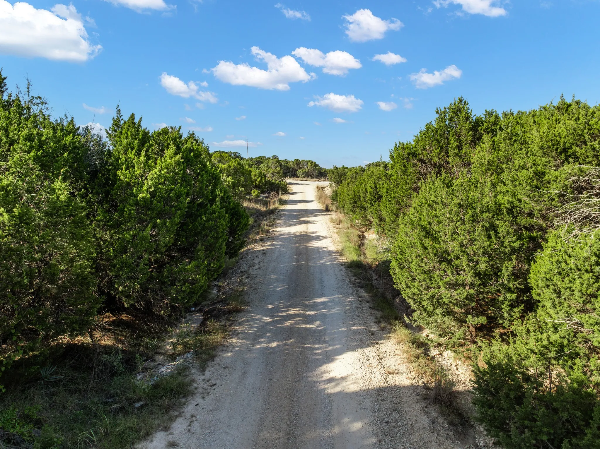 Unimproved Land For Sale in Bosque County , TBD CR 1213, Kopperl, Texas 76652, 0, 0, Garage spaces, 0 Sqft, built in 0, mls#21358985, Real Estate Agent in Kopperl, Homes For Sale in Bosque county, Homes For Sale in Kopperl, Realtor in Kopperl Texas, Real Estate Brokerage Independent Realty Texas, Luminita Cordes Realtor