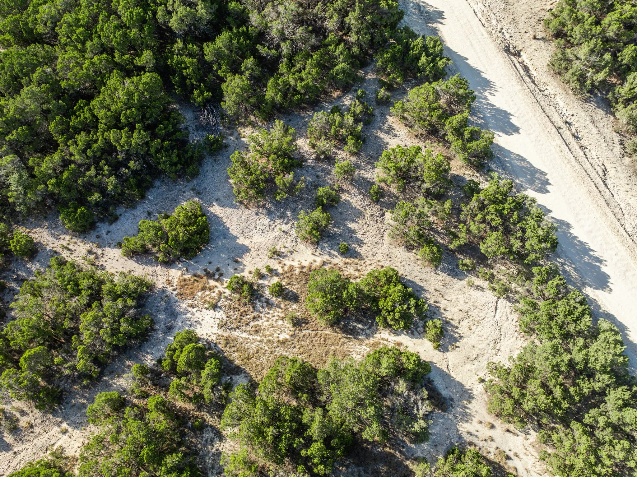 Unimproved Land For Sale in Bosque County , TBD CR 1213, Kopperl, Texas 76652, 0, 0, Garage spaces, 0 Sqft, built in 0, mls#21358985, Real Estate Agent in Kopperl, Homes For Sale in Bosque county, Homes For Sale in Kopperl, Realtor in Kopperl Texas, Real Estate Brokerage Independent Realty Texas, Luminita Cordes Realtor