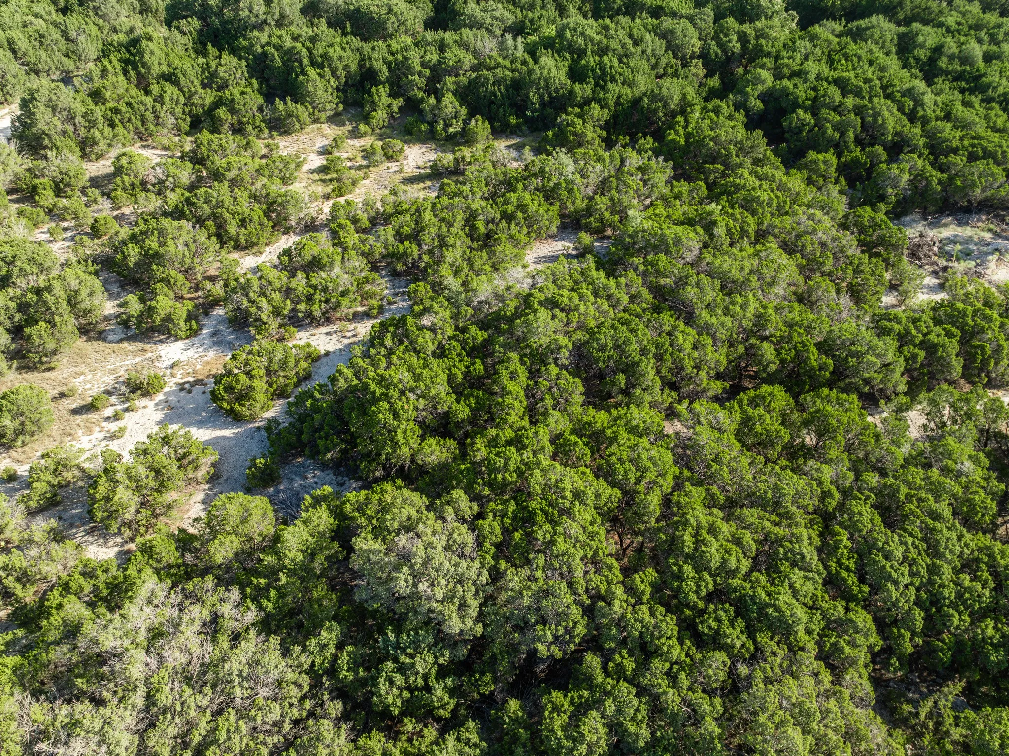 Unimproved Land For Sale in Bosque County , TBD CR 1213, Kopperl, Texas 76652, 0, 0, Garage spaces, 0 Sqft, built in 0, mls#21358985, Real Estate Agent in Kopperl, Homes For Sale in Bosque county, Homes For Sale in Kopperl, Realtor in Kopperl Texas, Real Estate Brokerage Independent Realty Texas, Luminita Cordes Realtor