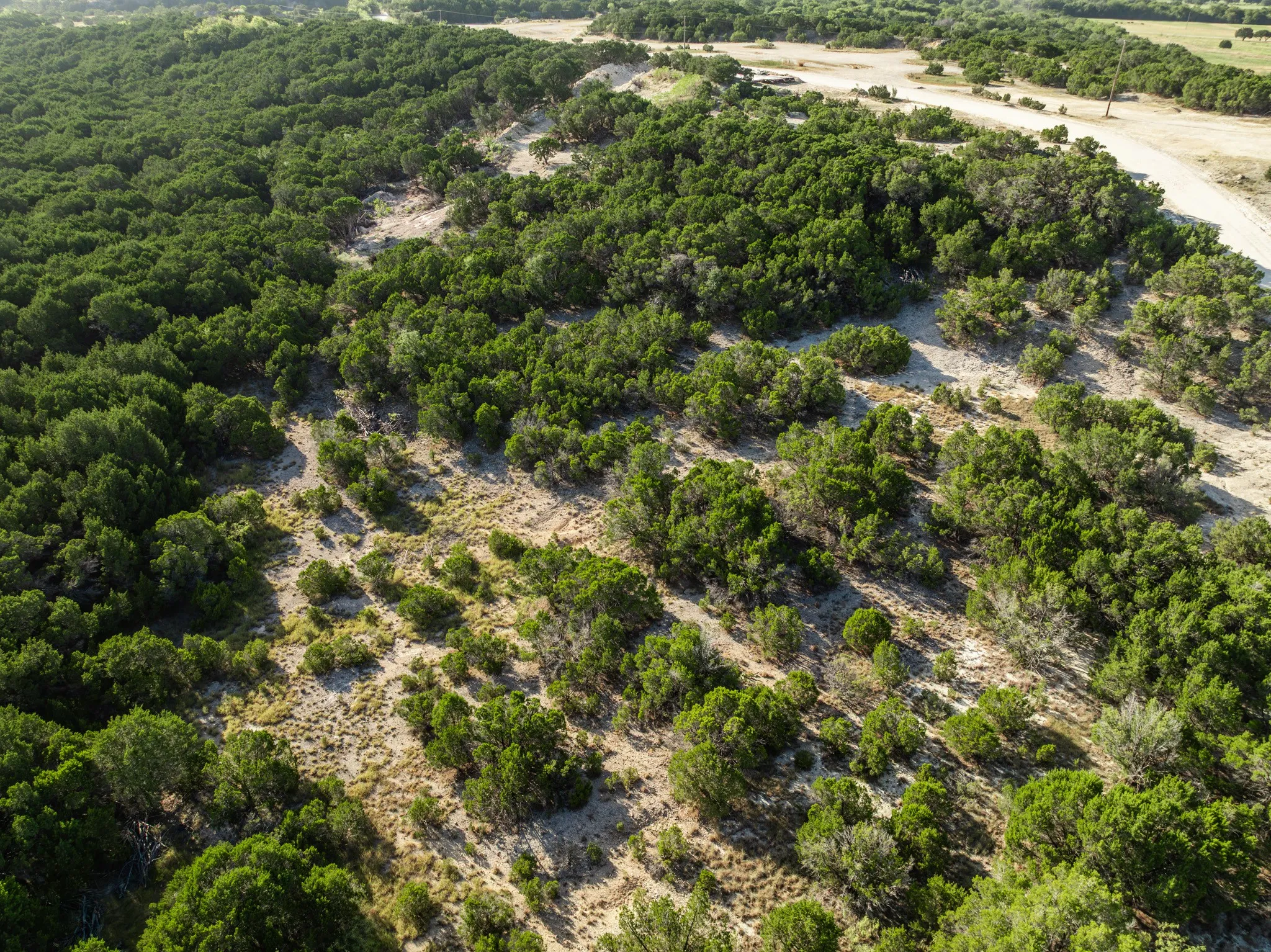 Unimproved Land For Sale in Bosque County , TBD CR 1213, Kopperl, Texas 76652, 0, 0, Garage spaces, 0 Sqft, built in 0, mls#21358985, Real Estate Agent in Kopperl, Homes For Sale in Bosque county, Homes For Sale in Kopperl, Realtor in Kopperl Texas, Real Estate Brokerage Independent Realty Texas, Luminita Cordes Realtor