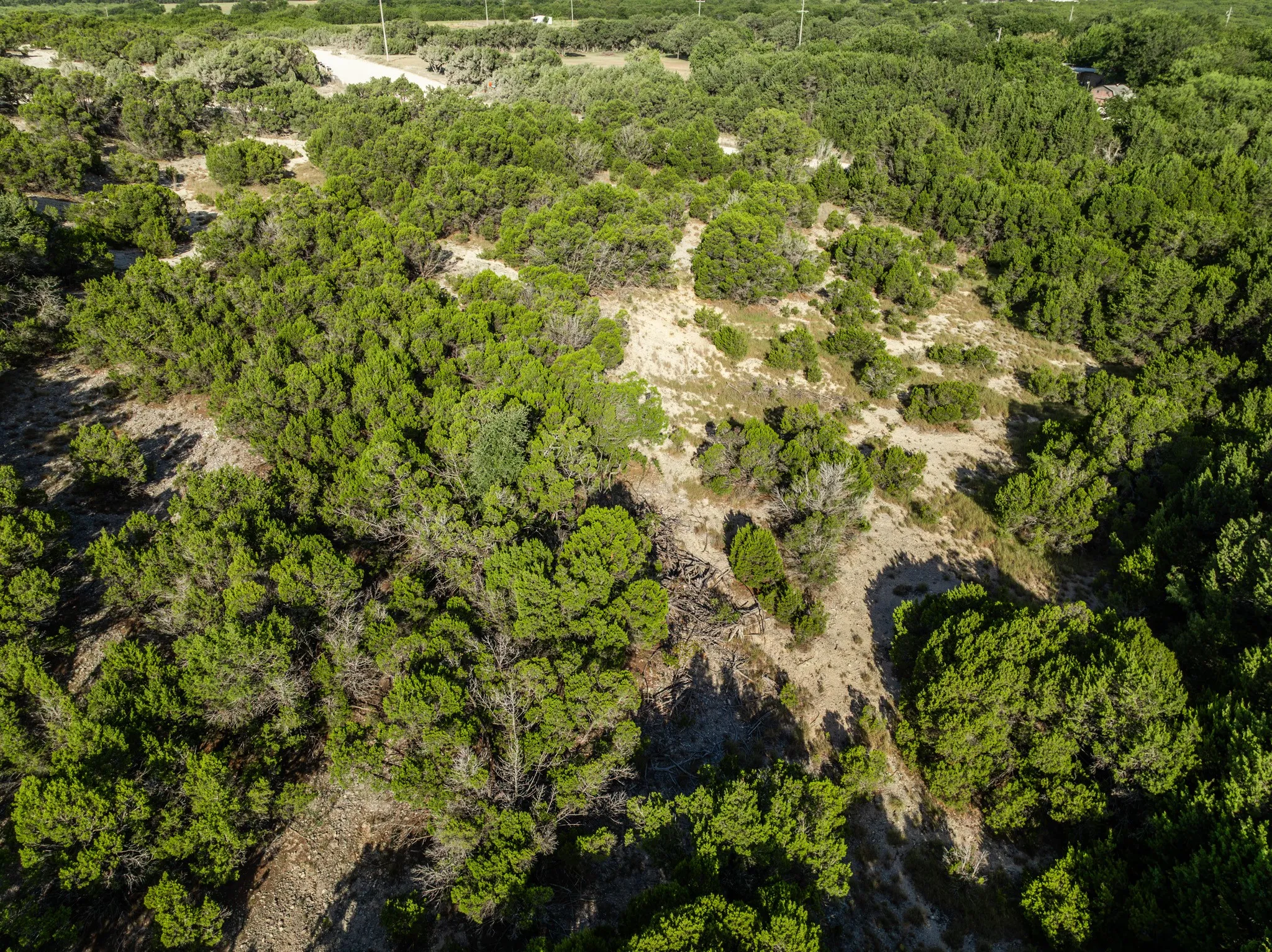 Unimproved Land For Sale in Bosque County , TBD CR 1213, Kopperl, Texas 76652, 0, 0, Garage spaces, 0 Sqft, built in 0, mls#21358985, Real Estate Agent in Kopperl, Homes For Sale in Bosque county, Homes For Sale in Kopperl, Realtor in Kopperl Texas, Real Estate Brokerage Independent Realty Texas, Luminita Cordes Realtor