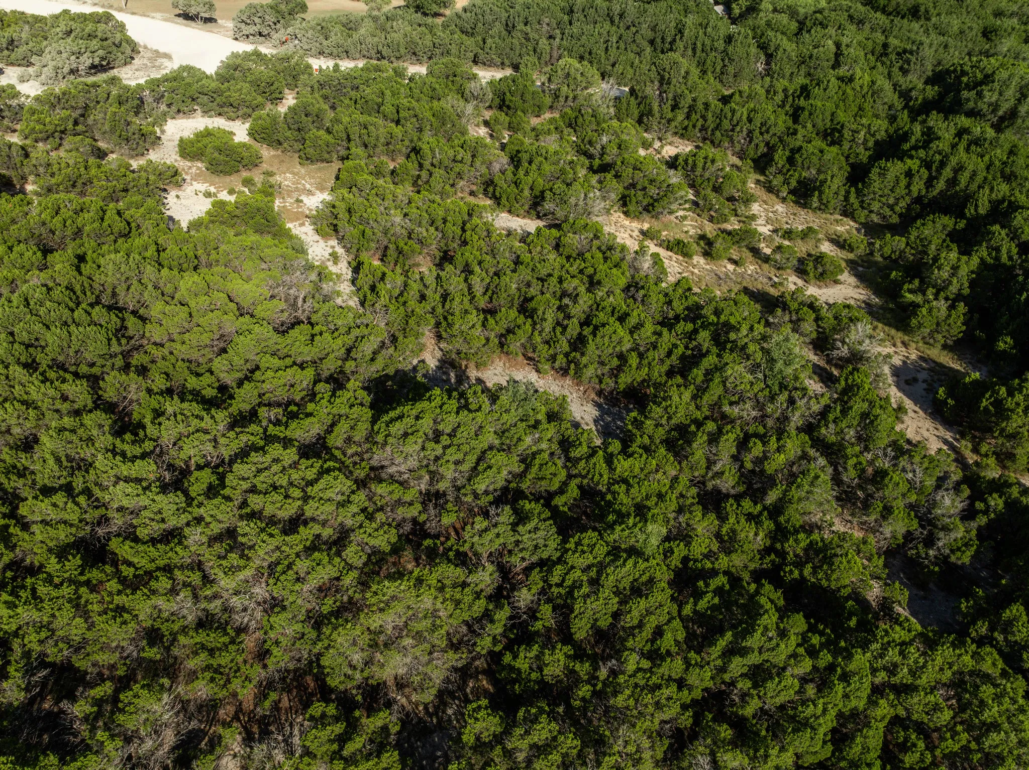 Unimproved Land For Sale in Bosque County , TBD CR 1213, Kopperl, Texas 76652, 0, 0, Garage spaces, 0 Sqft, built in 0, mls#21358985, Real Estate Agent in Kopperl, Homes For Sale in Bosque county, Homes For Sale in Kopperl, Realtor in Kopperl Texas, Real Estate Brokerage Independent Realty Texas, Luminita Cordes Realtor