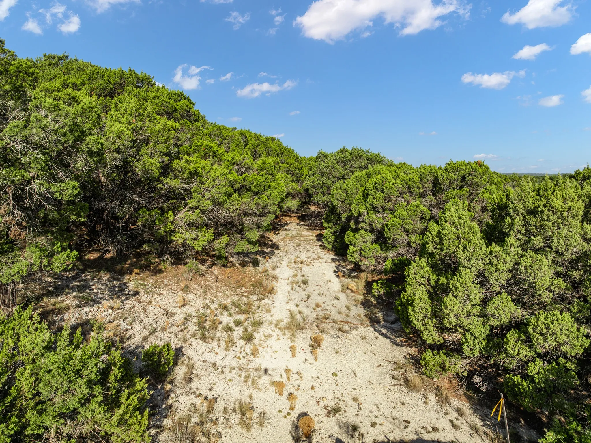 Unimproved Land For Sale in Bosque County , TBD CR 1213, Kopperl, Texas 76652, 0, 0, Garage spaces, 0 Sqft, built in 0, mls#21358985, Real Estate Agent in Kopperl, Homes For Sale in Bosque county, Homes For Sale in Kopperl, Realtor in Kopperl Texas, Real Estate Brokerage Independent Realty Texas, Luminita Cordes Realtor