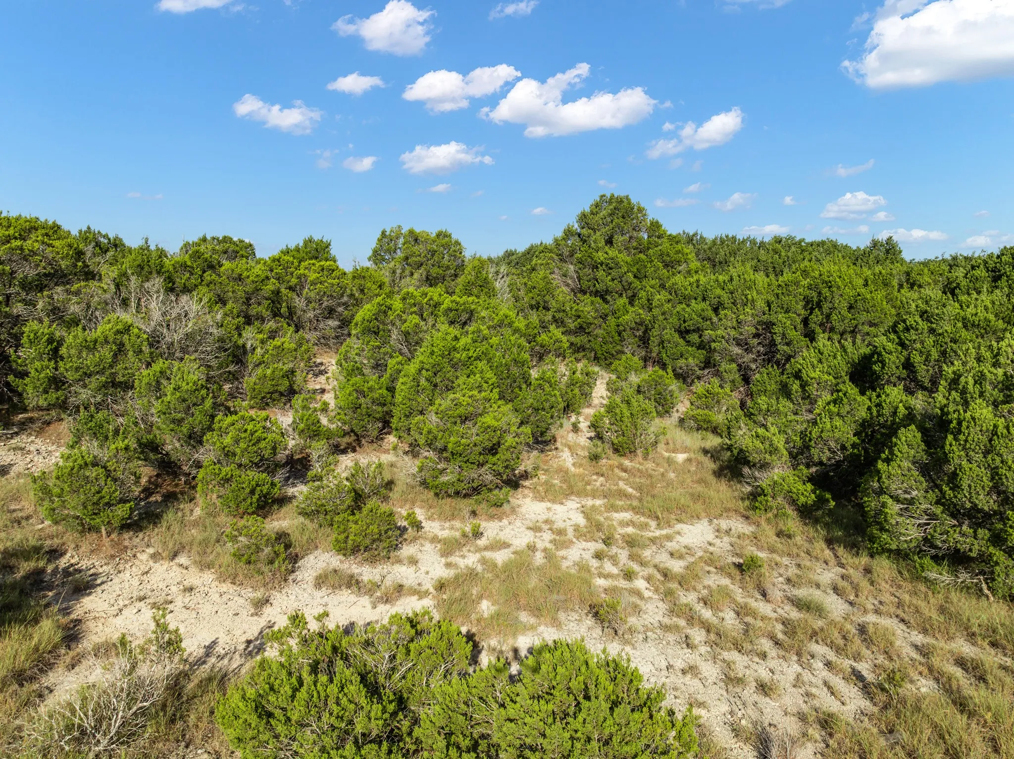 Unimproved Land For Sale in Bosque County , TBD CR 1213, Kopperl, Texas 76652, 0, 0, Garage spaces, 0 Sqft, built in 0, mls#21358985, Real Estate Agent in Kopperl, Homes For Sale in Bosque county, Homes For Sale in Kopperl, Realtor in Kopperl Texas, Real Estate Brokerage Independent Realty Texas, Luminita Cordes Realtor