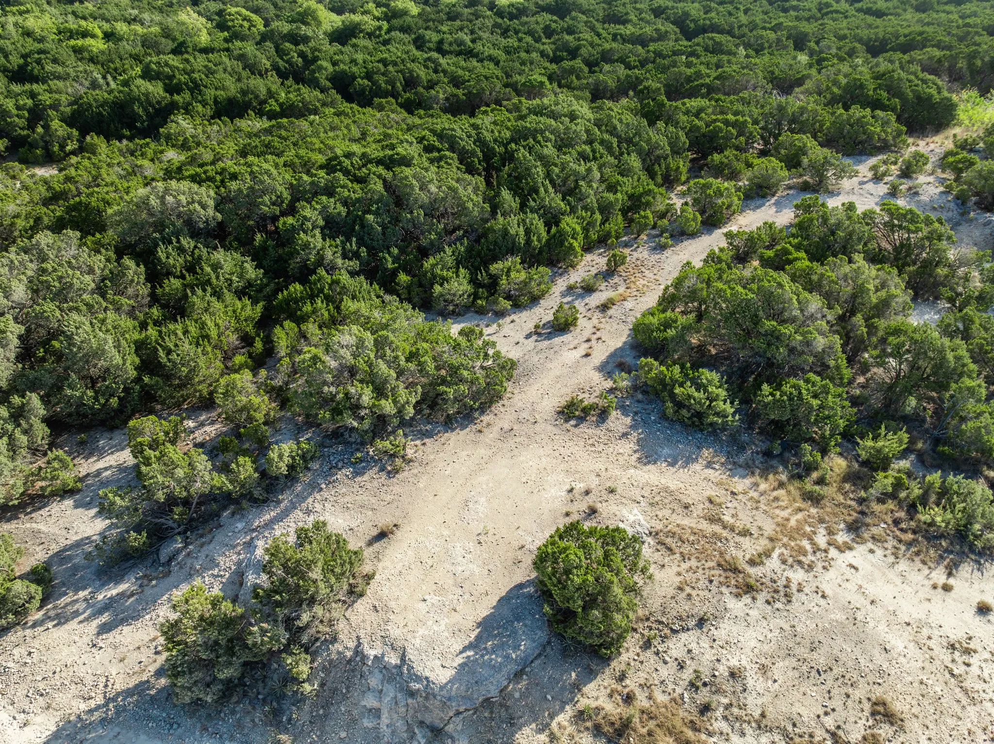 Unimproved Land For Sale in Bosque County , TBD CR 1213, Kopperl, Texas 76652, 0, 0, Garage spaces, 0 Sqft, built in 0, mls#21358985, Real Estate Agent in Kopperl, Homes For Sale in Bosque county, Homes For Sale in Kopperl, Realtor in Kopperl Texas, Real Estate Brokerage Independent Realty Texas, Luminita Cordes Realtor
