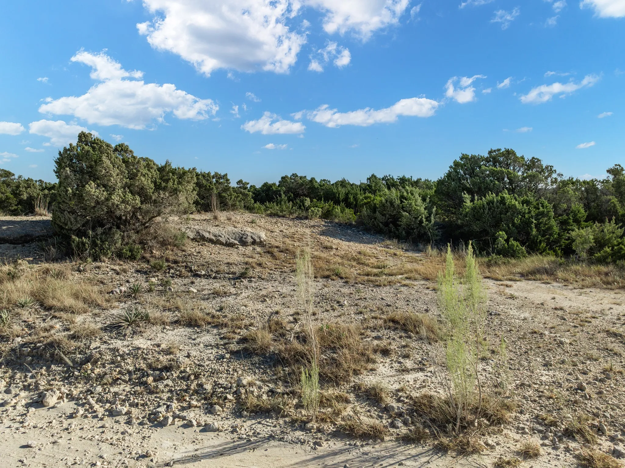 Unimproved Land For Sale in Bosque County , TBD CR 1213, Kopperl, Texas 76652, 0, 0, Garage spaces, 0 Sqft, built in 0, mls#21358985, Real Estate Agent in Kopperl, Homes For Sale in Bosque county, Homes For Sale in Kopperl, Realtor in Kopperl Texas, Real Estate Brokerage Independent Realty Texas, Luminita Cordes Realtor