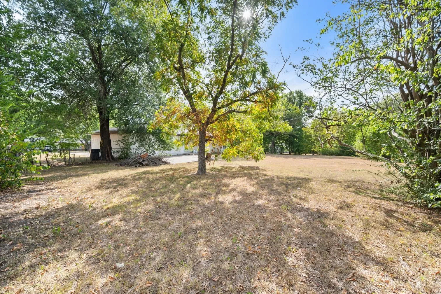 Expansive property featuring mature trees and open land