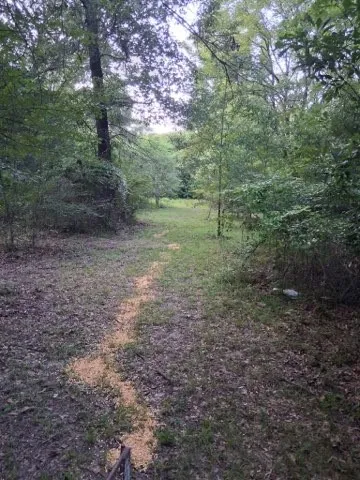 Mobile Home For Sale in Hopkins County , 2965 County Road 1439, Sulphur Springs, Texas 75482, 0, 2 Bathroom, Garage spaces, 1,144 Sqft, built in 2015, mls#21360105, Real Estate Agent in Sulphur Springs, Homes For Sale in Hopkins county, Homes For Sale in Sulphur Springs, Realtor in Sulphur Springs Texas, Real Estate Brokerage Independent Realty Texas, Luminita Cordes Realtor