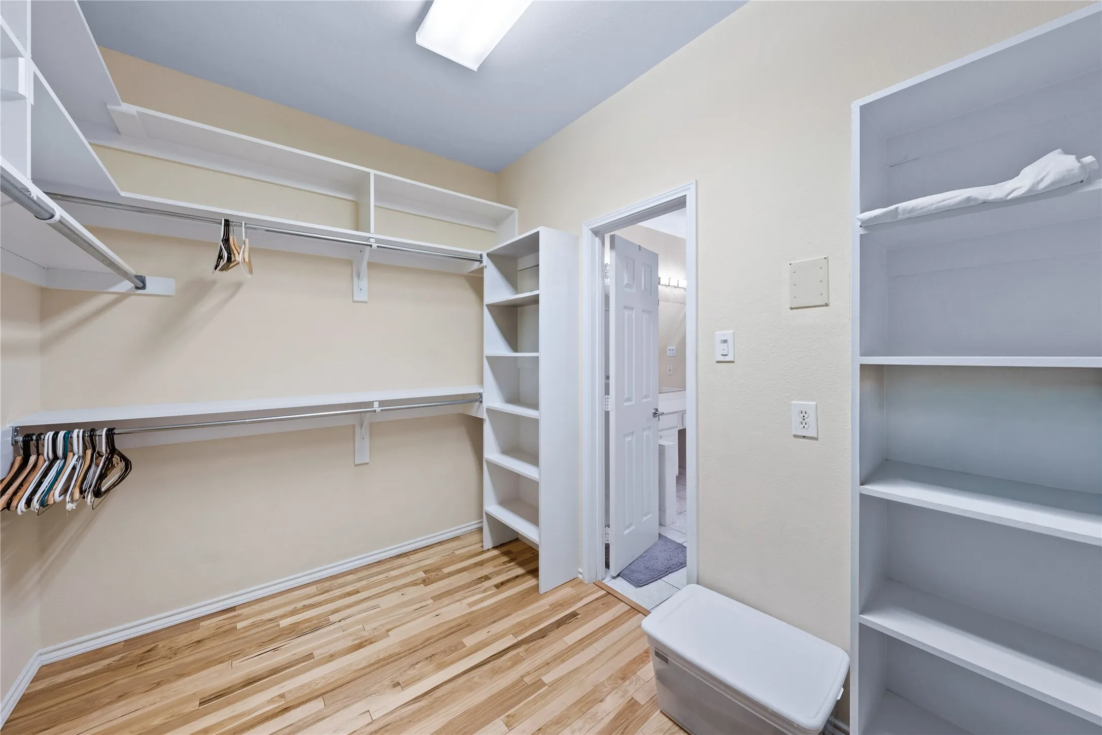 Wood-finish flooring with ample built-in shelving, hanging rods, and an overhead light fixture