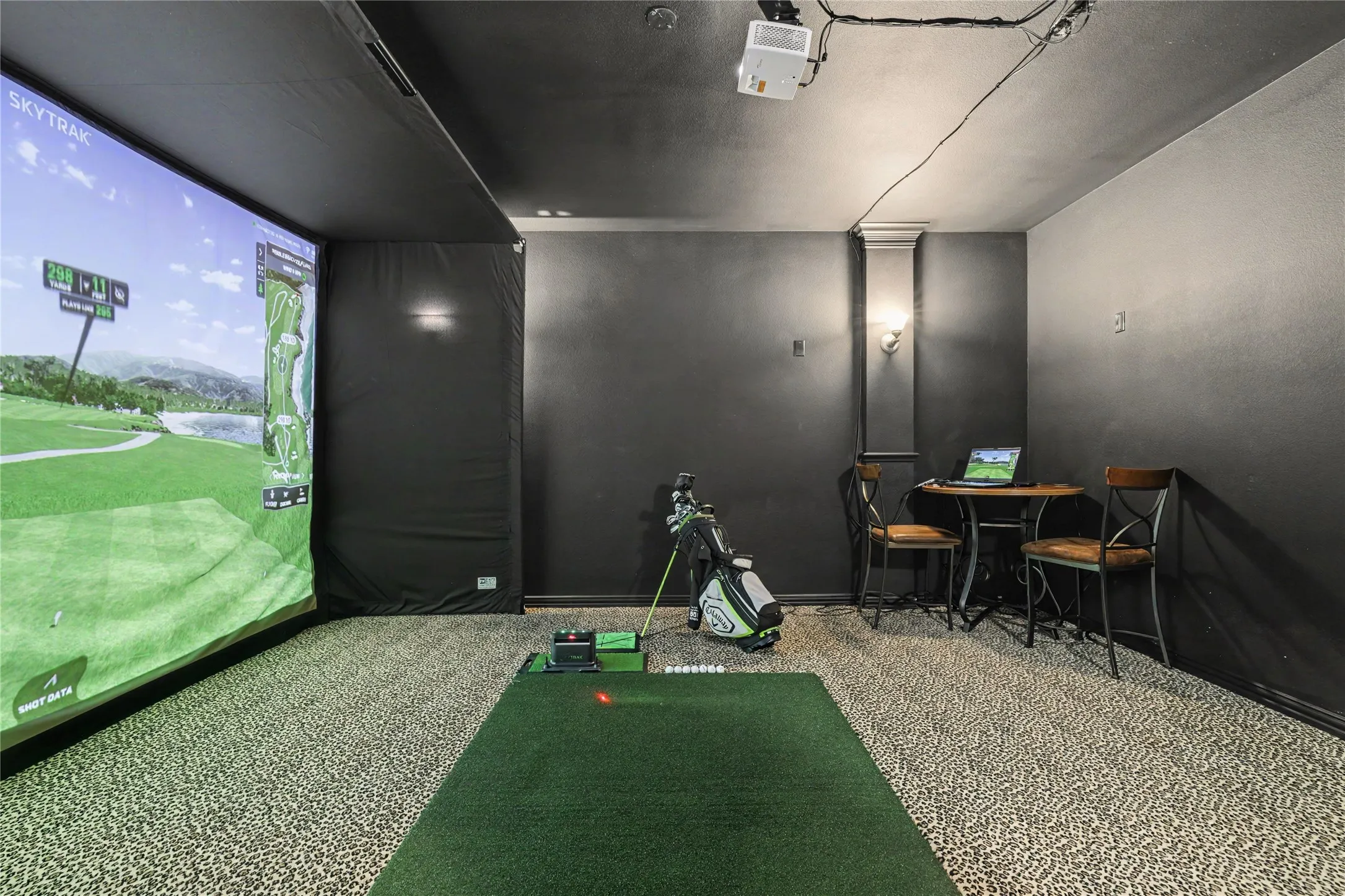 Media Room or Golf Simulator Room