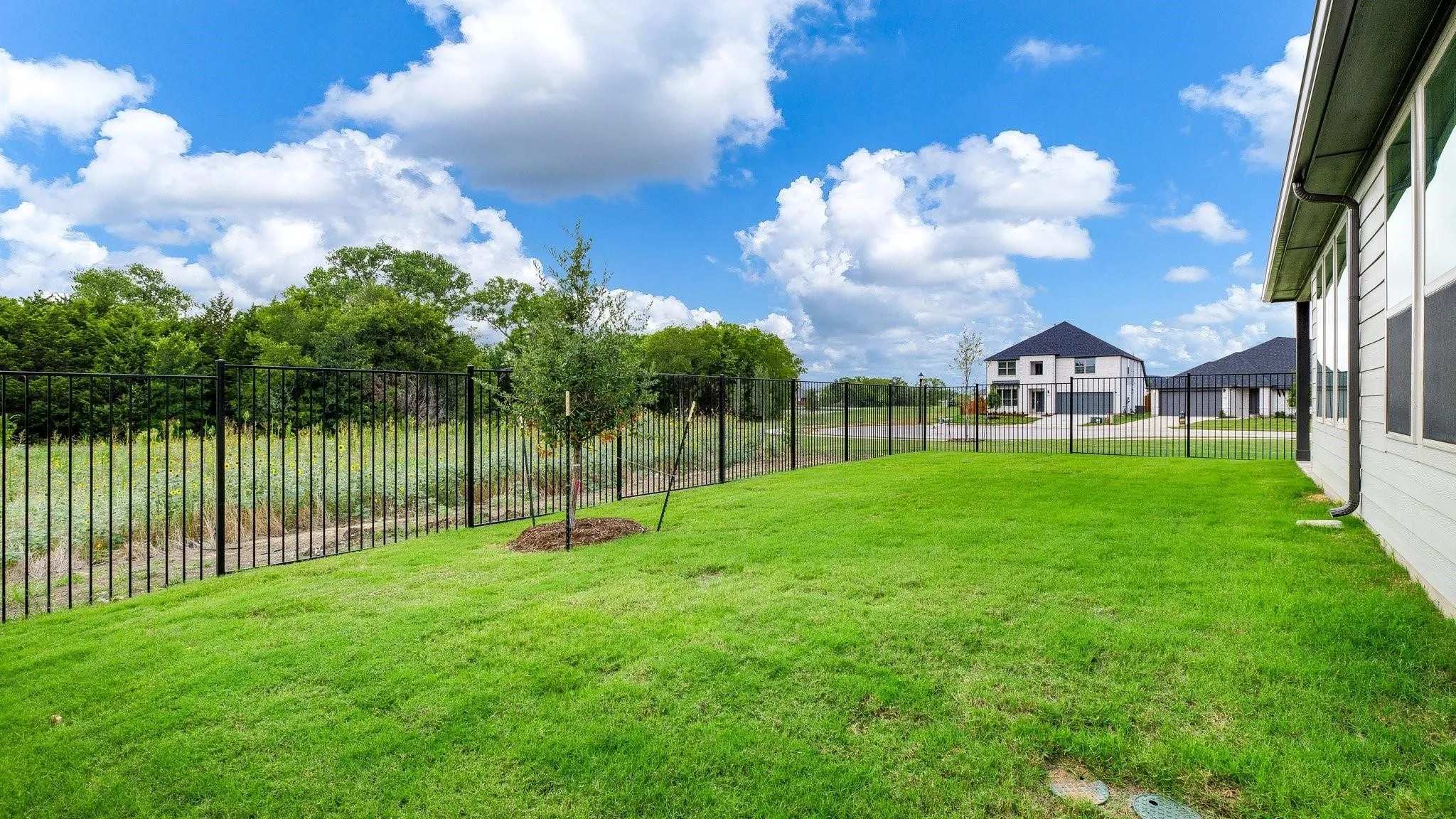 Expansive backyard with manicured lawn, mature landscaping, and black metal perimeter fencing