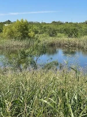 Unimproved Land For Sale in Coleman County , 912 O D Lane, Coleman, Texas 76834, 0, 0, Garage spaces, 0 Sqft, built in 0, Price $219,900, mls#21360131, Real Estate Agent in Coleman, Homes For Sale in Coleman county, Homes For Sale in Coleman, Realtor in Coleman Texas, Real Estate Brokerage Independent Realty Texas, Luminita Cordes Realtor