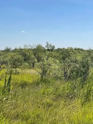 Unimproved Land For Sale in Coleman County , 912 O D Lane, Coleman, Texas 76834, 0, 0, Garage spaces, 0 Sqft, built in 0, Price $219,900, mls#21360131, Real Estate Agent in Coleman, Homes For Sale in Coleman county, Homes For Sale in Coleman, Realtor in Coleman Texas, Real Estate Brokerage Independent Realty Texas, Luminita Cordes Realtor