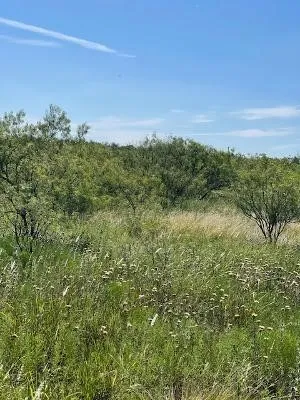 Unimproved Land For Sale in Coleman County , 912 O D Lane, Coleman, Texas 76834, 0, 0, Garage spaces, 0 Sqft, built in 0, Price $219,900, mls#21360131, Real Estate Agent in Coleman, Homes For Sale in Coleman county, Homes For Sale in Coleman, Realtor in Coleman Texas, Real Estate Brokerage Independent Realty Texas, Luminita Cordes Realtor