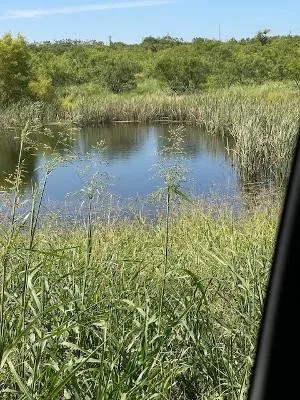 Unimproved Land For Sale in Coleman County , 912 O D Lane, Coleman, Texas 76834, 0, 0, Garage spaces, 0 Sqft, built in 0, Price $219,900, mls#21360131, Real Estate Agent in Coleman, Homes For Sale in Coleman county, Homes For Sale in Coleman, Realtor in Coleman Texas, Real Estate Brokerage Independent Realty Texas, Luminita Cordes Realtor