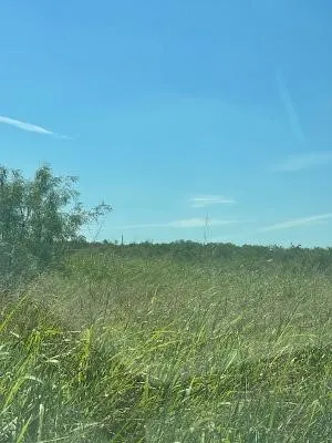 Unimproved Land For Sale in Coleman County , 912 O D Lane, Coleman, Texas 76834, 0, 0, Garage spaces, 0 Sqft, built in 0, Price $219,900, mls#21360131, Real Estate Agent in Coleman, Homes For Sale in Coleman county, Homes For Sale in Coleman, Realtor in Coleman Texas, Real Estate Brokerage Independent Realty Texas, Luminita Cordes Realtor